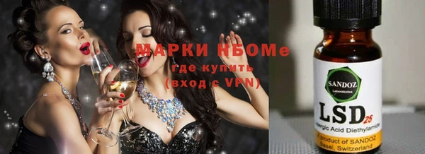 apvp Горняк