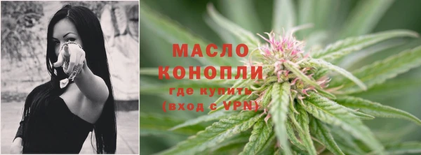 apvp Горняк