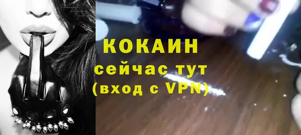 apvp Горняк