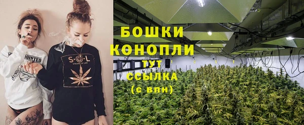 apvp Горняк