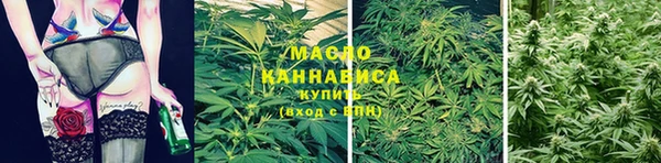 apvp Горняк