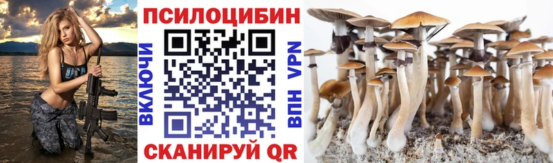 Псилоцибиновые грибы GOLDEN TEACHER  где продают   Норильск 